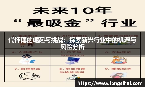 代怀博的崛起与挑战：探索新兴行业中的机遇与风险分析